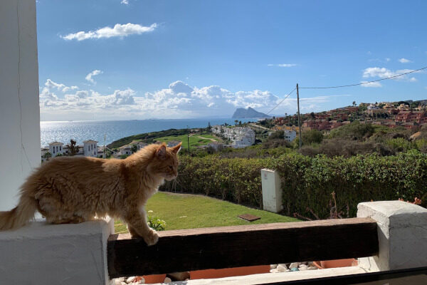 Milo auf der Terrasse