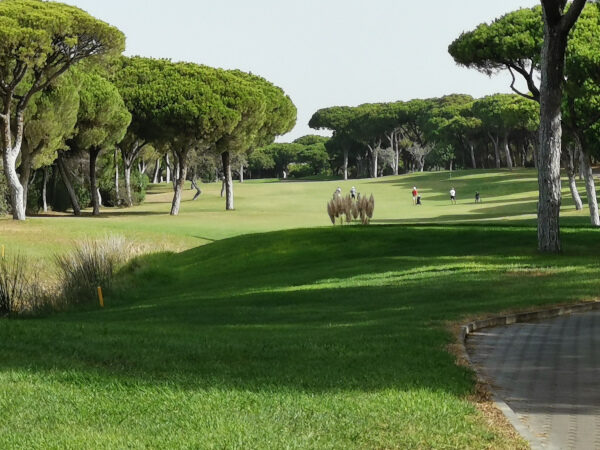 Millenium Golf